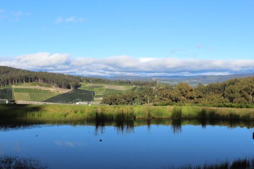 Cherryview Cygnet