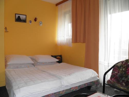 Guesthouse Pri Štorklji - image 7