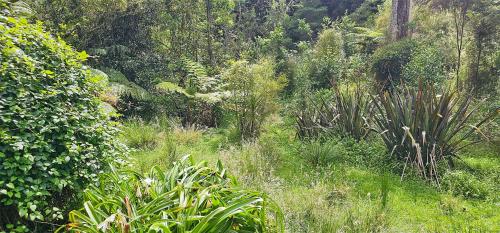Ympäristö, Hawkstone Hideaway - Your Peaceful Getaway in Kaitoke
