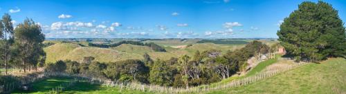 Ympäristö, Hawkstone Hideaway - Your Peaceful Getaway in Kaitoke