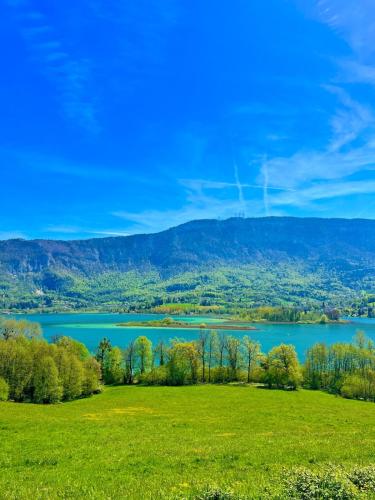 Evasion entre lac et montagne Spa Billard Fitness in Lepin-le-Lac