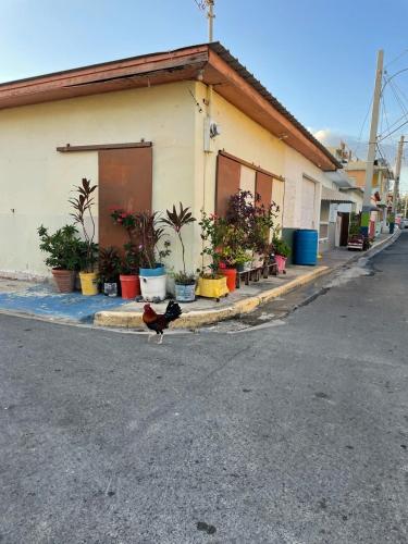 Casa Lila in Camuy