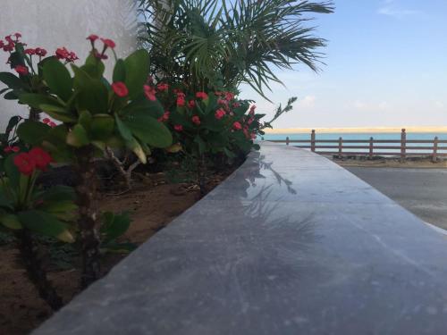 Hotel & Resort Golden Marina Yanbu