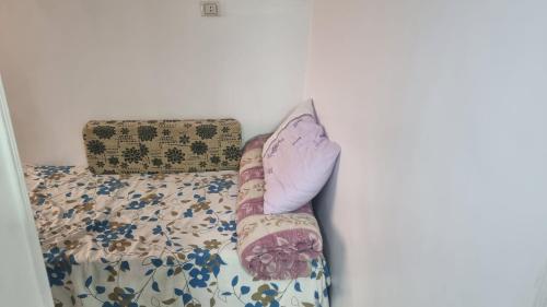 Charming 2-Bedroom Apartment in Vibrant Agouza Egypt - main image