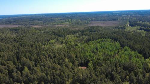 Viesnīcas āriene, Stuga Rödhake (Stuga Rodhake) in Annerstad