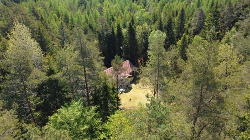 Viesnīcas āriene, Stuga Rödhake (Stuga Rodhake) in Annerstad