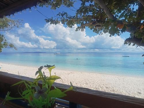 Enas Cottage Pamilacan IsLand in Pamilacan Island