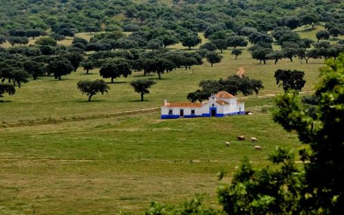 Herdade da Negrita