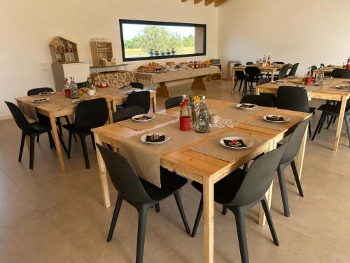 Oprema, Agriturismo Verdecielo in Ponte San Nicolo