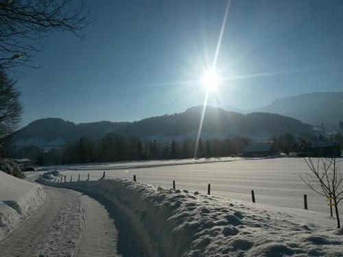 Hotel Gasthof Adler - image 3
