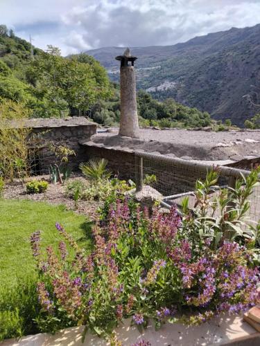 Cortijo De Los Abuelos in Pampaneira