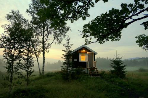 Viesnīcas āriene, Camping cottages in nature Shared toilet and shower in Hommelsto