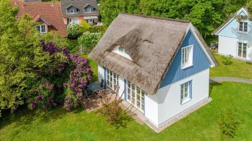 Traumgarten Villa Harmonie in Prerow, Deutschland