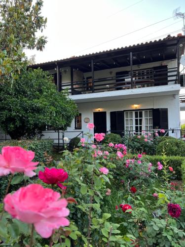 STAVRIANNA Eco Farm house in Elaionas (Diakopto)