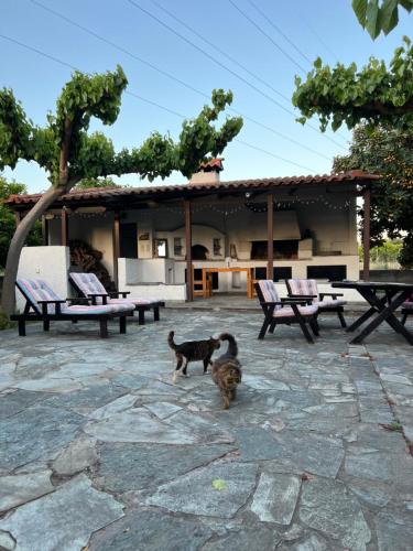 STAVRIANNA Eco Farm house in Elaionas (Diakopto)