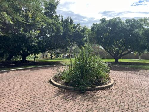 Fever Tree B&B in Quenera North