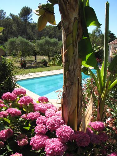 Casa Rurale Lou Pichoun Nis chambre d'hôte ROUSSET