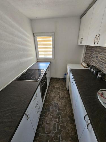 Vila Maksim in Mali Zvornik