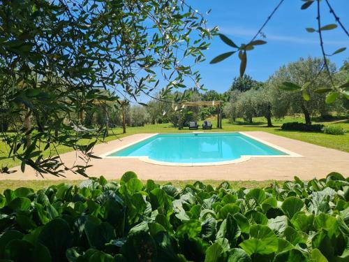 Bassein, Villa Flavia in Manziana