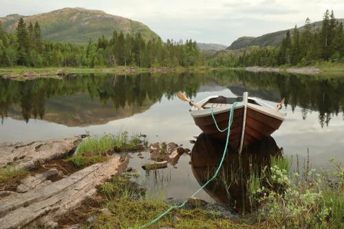Iekārtas, Camping cottages in nature Shared toilet and shower in Hommelsto
