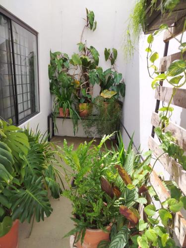 7 Huésped Casa Espaciosa Quincho Piscina Juegos "Minimo 2 noches" – khách sạn tại Ypacaraí