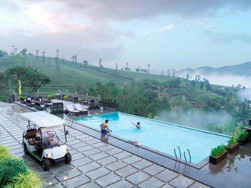 Elysian Vale, Vagamon