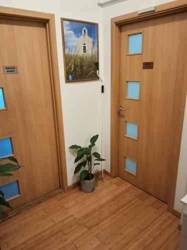 Guest House Pegla - image 5