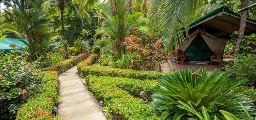 Rafiki Beach Camp