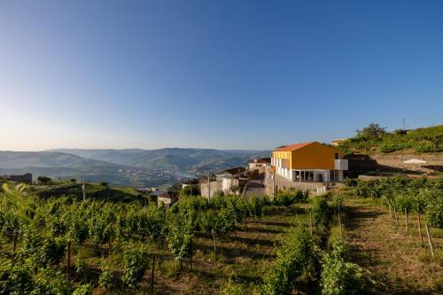 Casas da Quinta de Santa Cruz - Douro Land - Mesao Frio