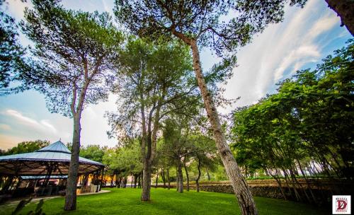 Relais Reggia Domizia