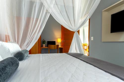 1 double bed, 1 sofa bed