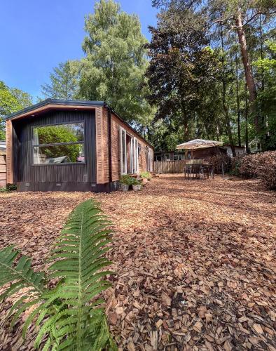 สวน, Atara Abode - Chalet voor 4 personen bij De Hoge Veluwe met tuin in บอสเคบีด เฮินเดอร์โล
