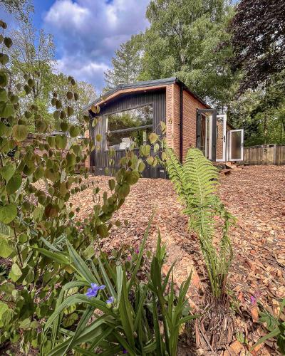 สวน, Atara Abode - Chalet voor 4 personen bij De Hoge Veluwe met tuin in บอสเคบีด เฮินเดอร์โล