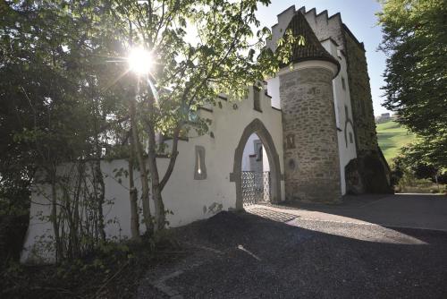 Schloss Wartensee