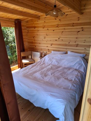 Cedre bleu in La Clayette
