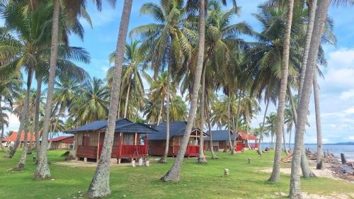 Cabaña frente al mar islas de San Blas icodub (Cabana frente al mar islas de San Blas icodub) in El Porvenir
