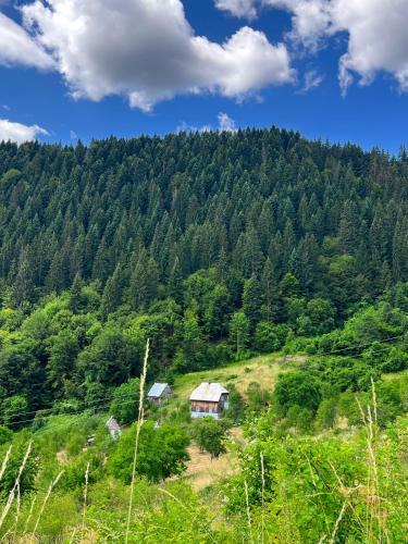 Zabljak Sljivansko