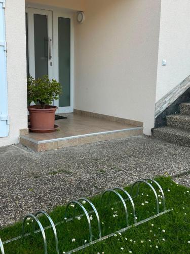 Gemütliche 2 Zimmer Wohnung (Gemutliche 2 Zimmer Wohnung) in Trechtingshausen
