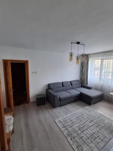 Istaba viesiem, Apartament ALEX-LUXURY in Tirgu Okna