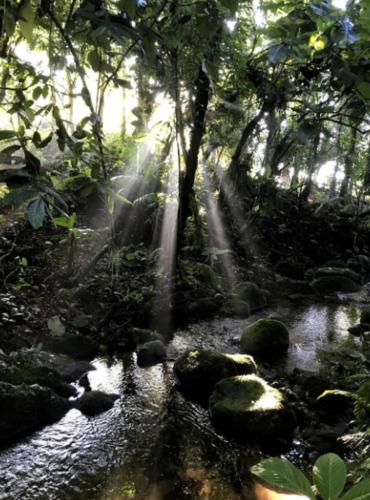 Chalé na mata, prox de cachoeira e praias (Chale na mata, prox de cachoeira e praias) in Barra Grande