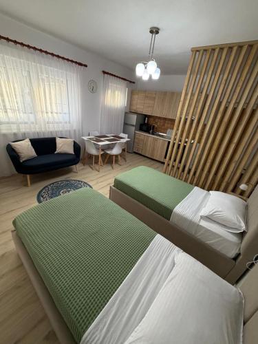Fredi Studio, Tirana