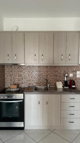 廚房, Niko's apartments 2 in 埃拉福尼索斯鎮中心