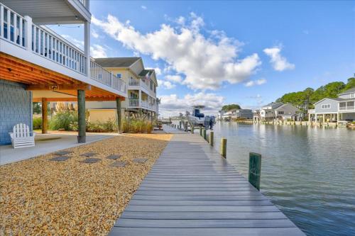 Coastal Crab - image 9