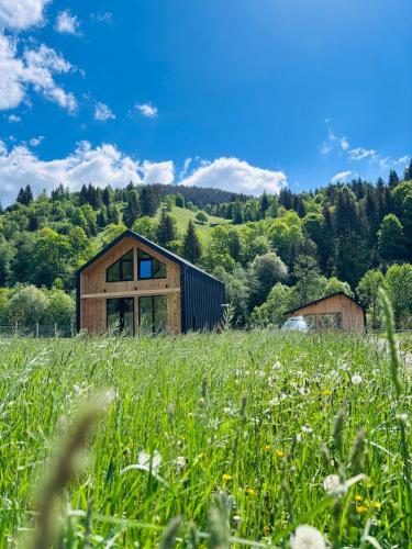 The Black Barn in Frumosu