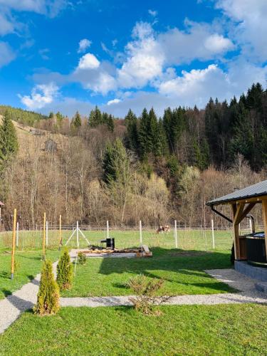 The Black Barn in Frumosu