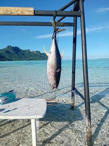 Pension Maupiti Island in Maupiti Island