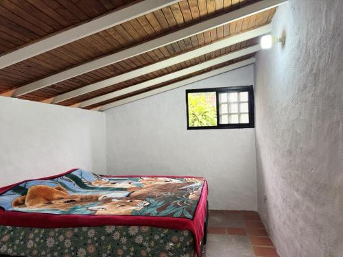 Cabana destino 11 in Tabay