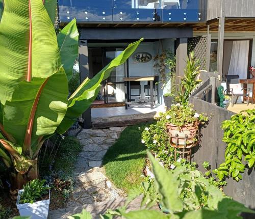 Driftwood Sands Studio in Tairua