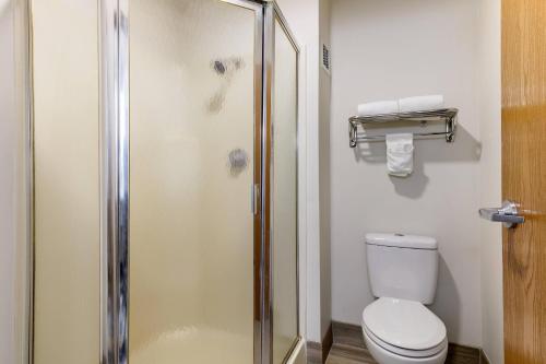 Quality Inn - image 26