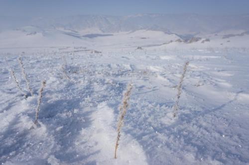 My Mongolia Eco Ger Camp My Mongolia Eco Ger Camp